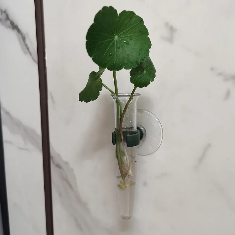11cm Blumen-Wasserröhrchen Kun – Supply For Florist Bewertung und Preis