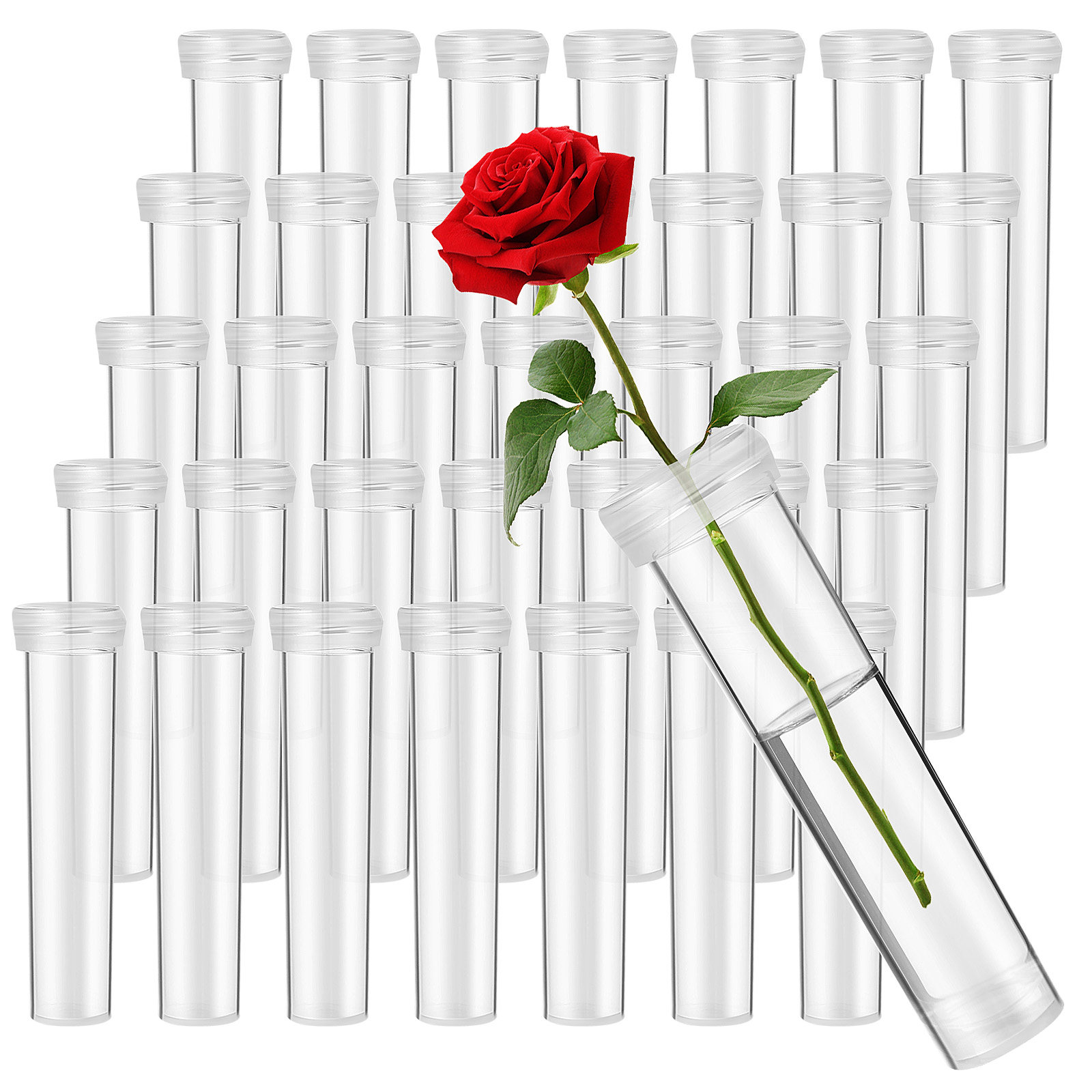 100 Stück Blumenwasserschläuch – Supply For Florist Bewertung und Preis