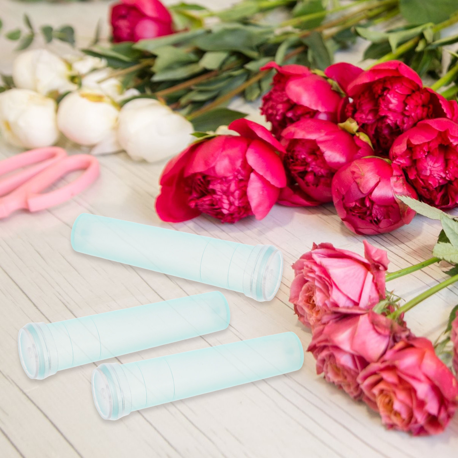 100 Stück Blumenkonservierungs – Supply For Florist Bewertung und Preis